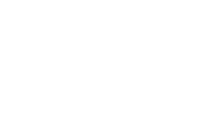 Insignia Hino